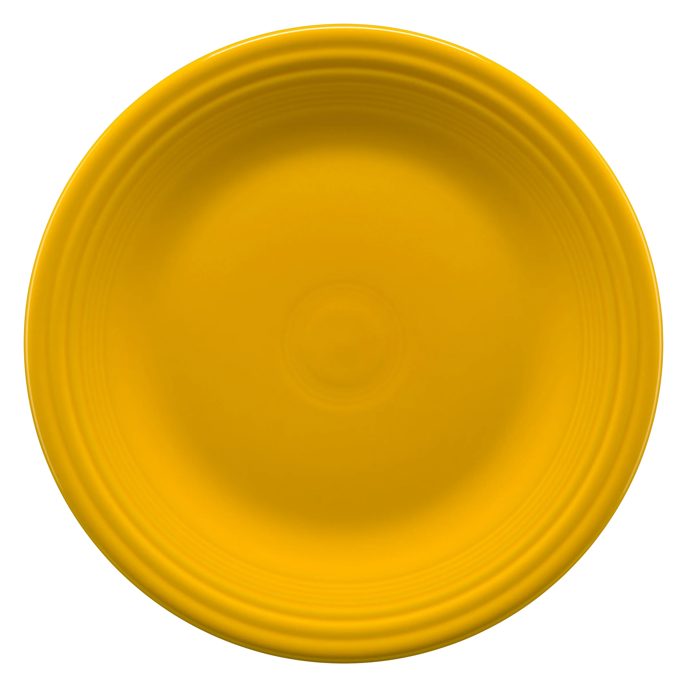 Classic Rim 10 1/2 Inch Dinner Plate - Image 10